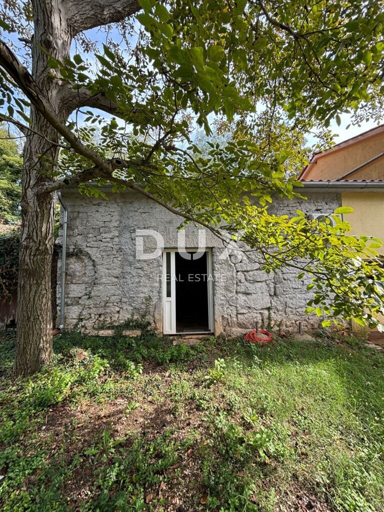 Image 22