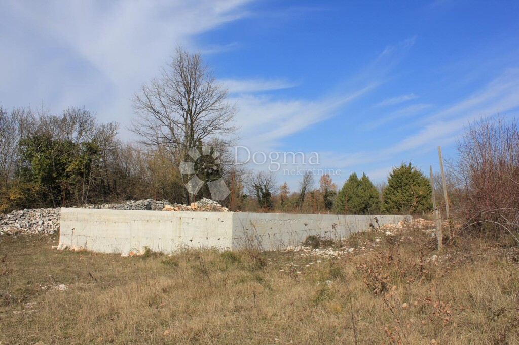 Image 22