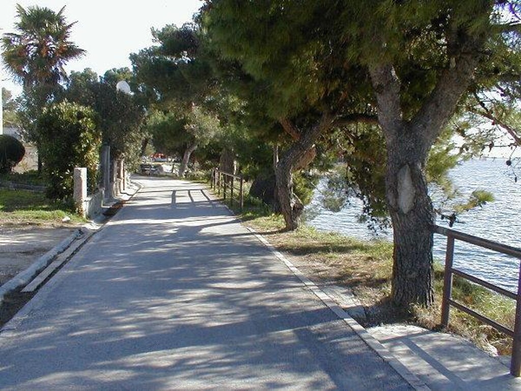Image 3812228 - 5
