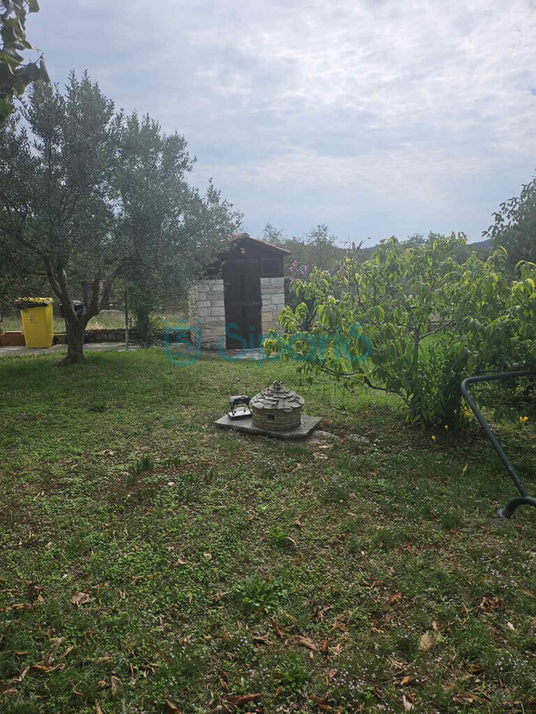 Image 20