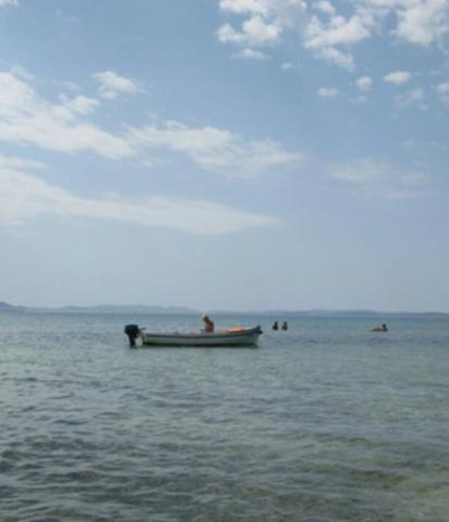 Image 3812392 - 11