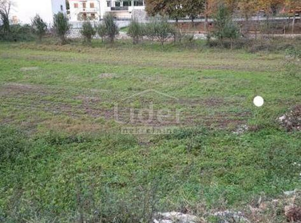 Image 13