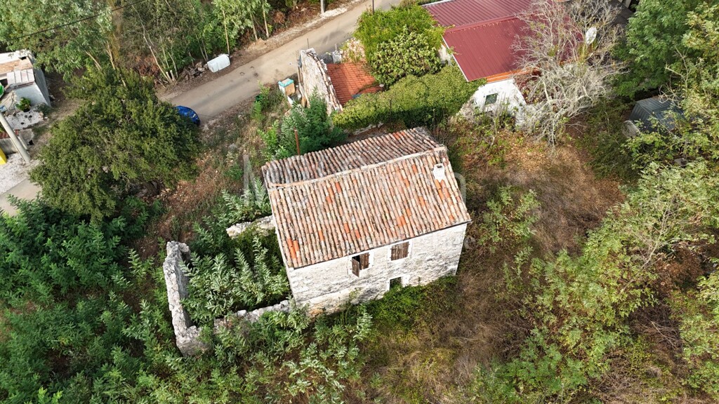 Image 6094516 - 7
