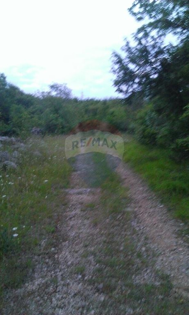 Image 5410865 - 4