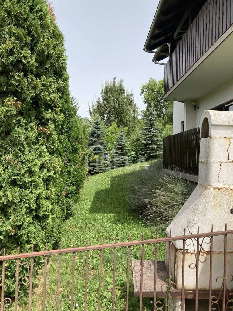 Image 22