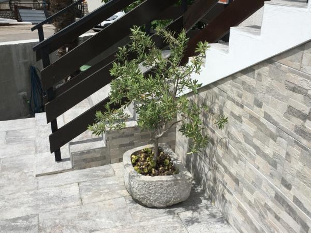 Image 3810600 - 9
