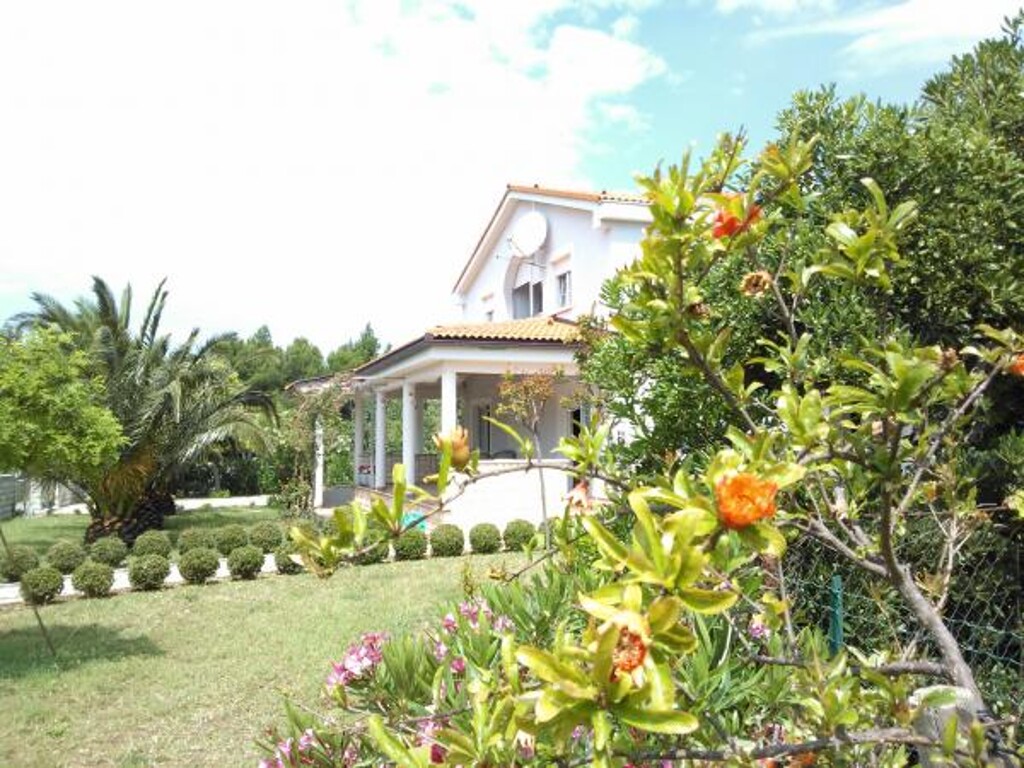 Image 3811241 - 2