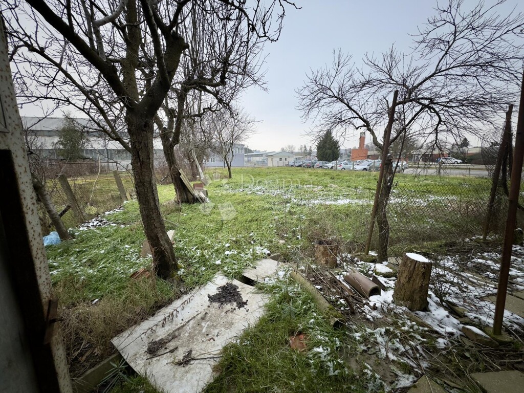 Image 15