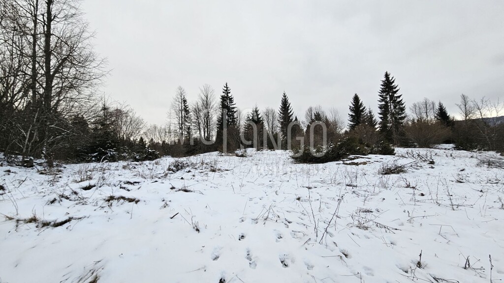 Image 13