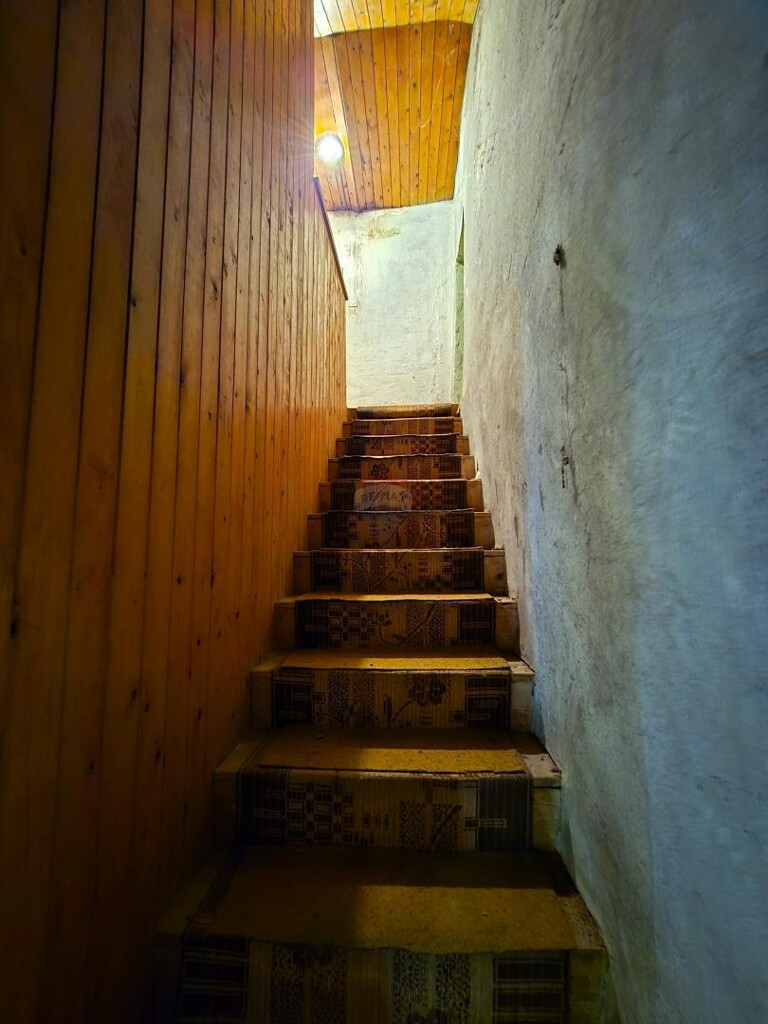 Image 11
