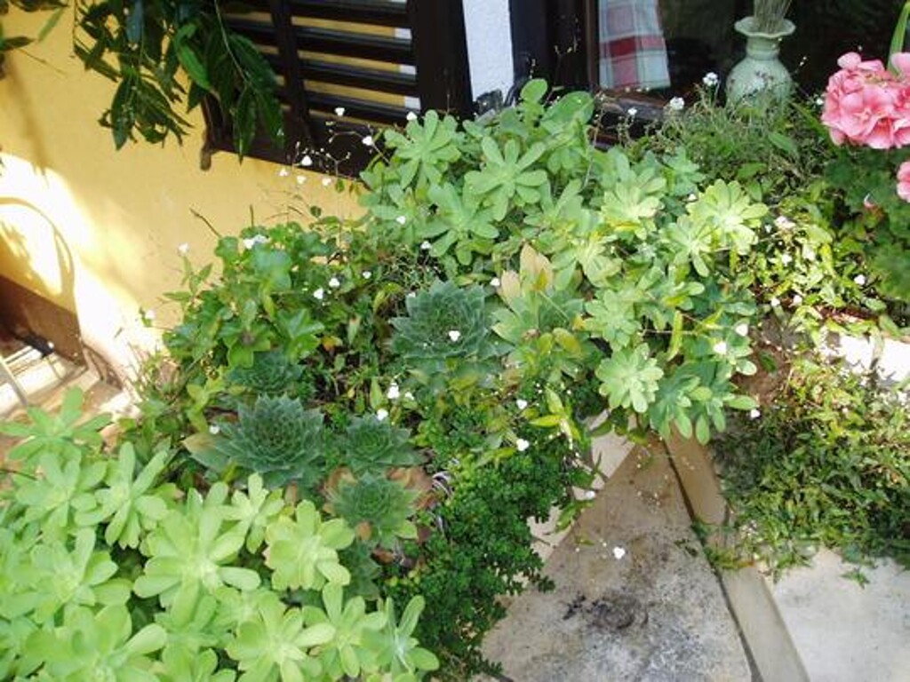 Image 3811886 - 12