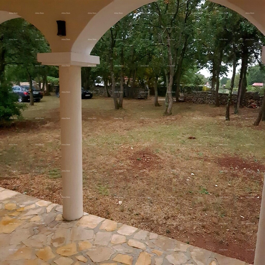 Image 24