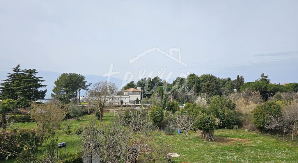 Image 18