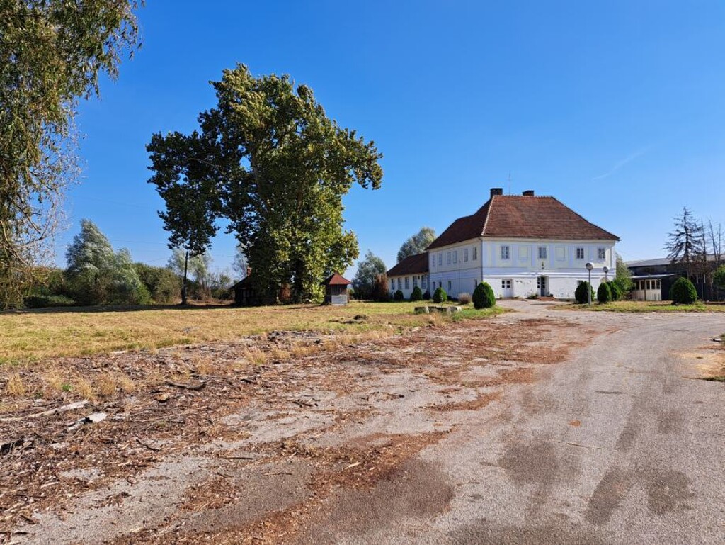 Image 12