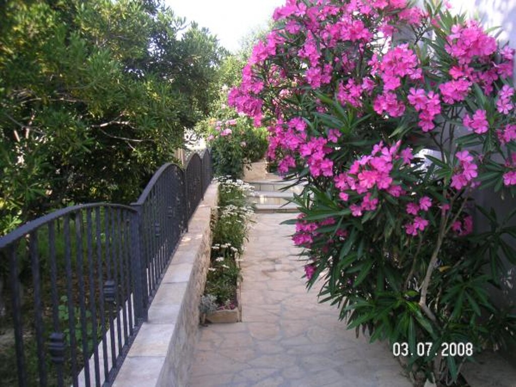 Image 3811635 - 9