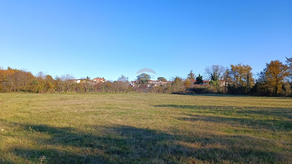 Image 5429012 - 6