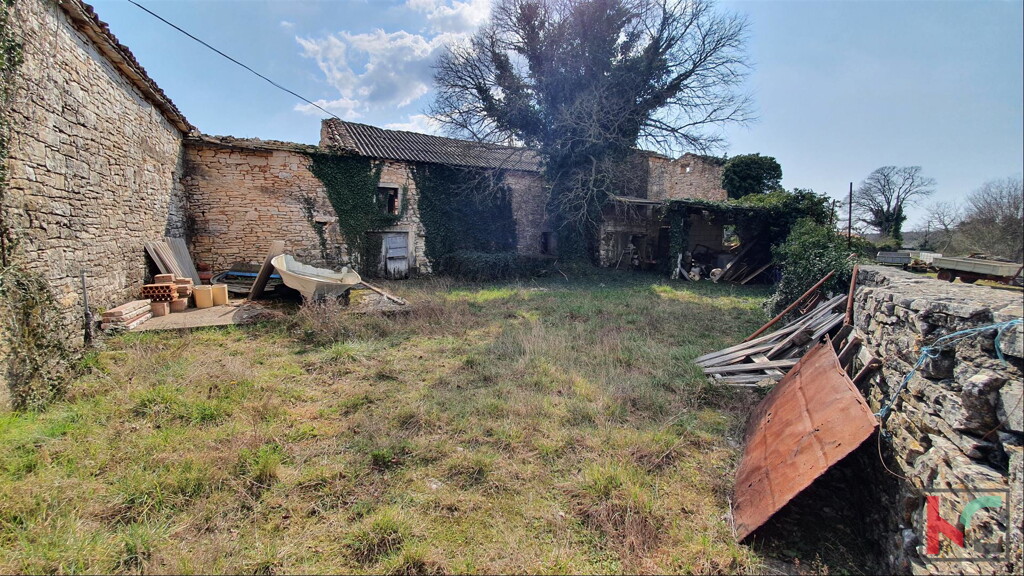 Image 12