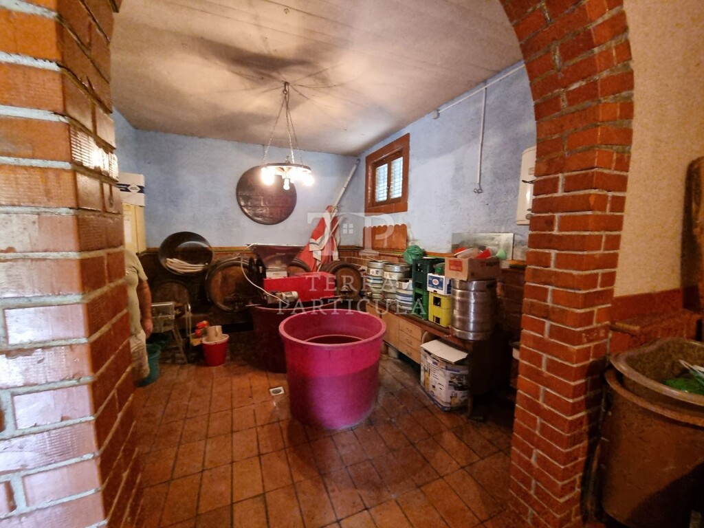 Image 19