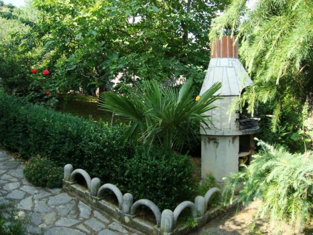 Image 3811430 - 2