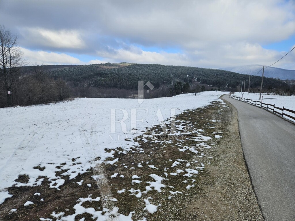 Image 14
