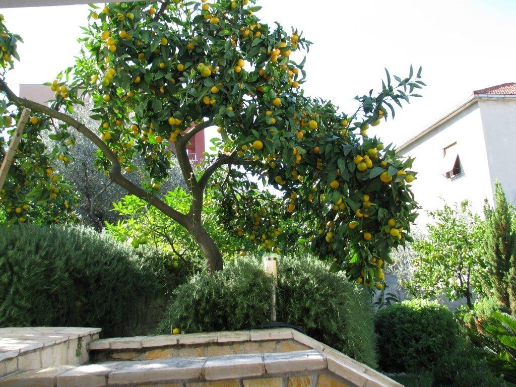 Image 3838999 - 9