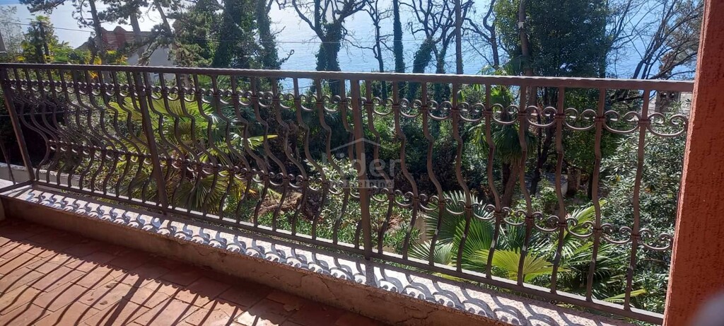 Image 1407662 - 12