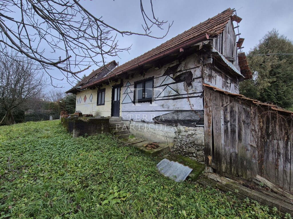 Image 13