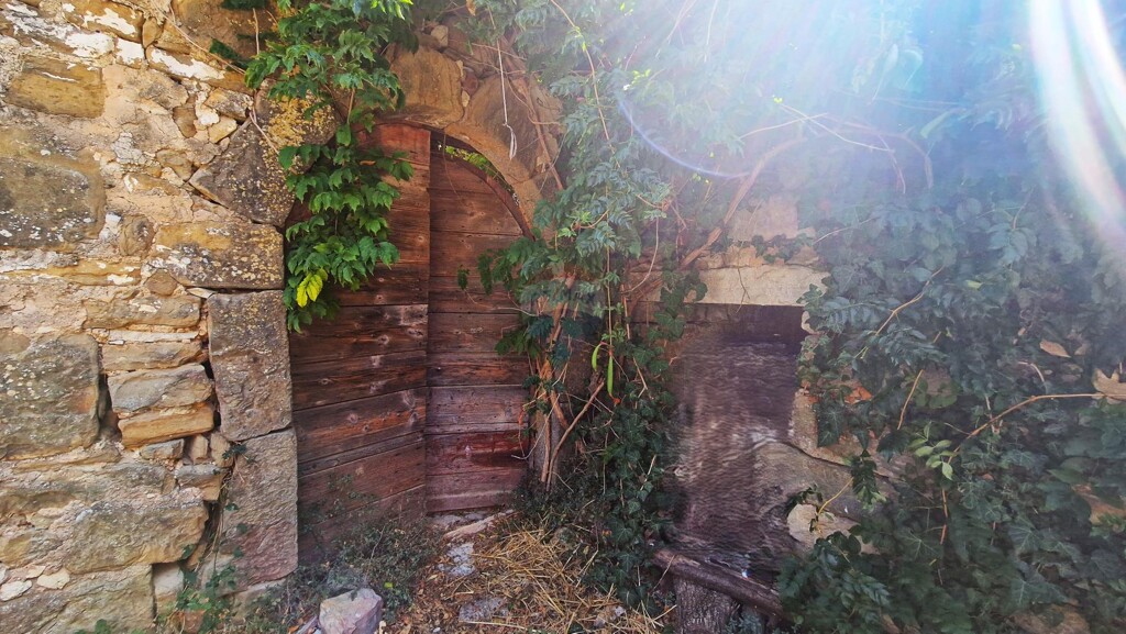 Image 5