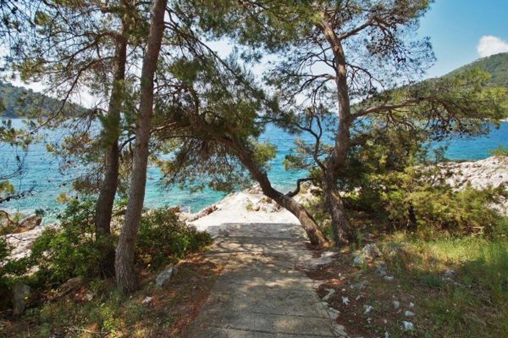 Image 3811819 - 36