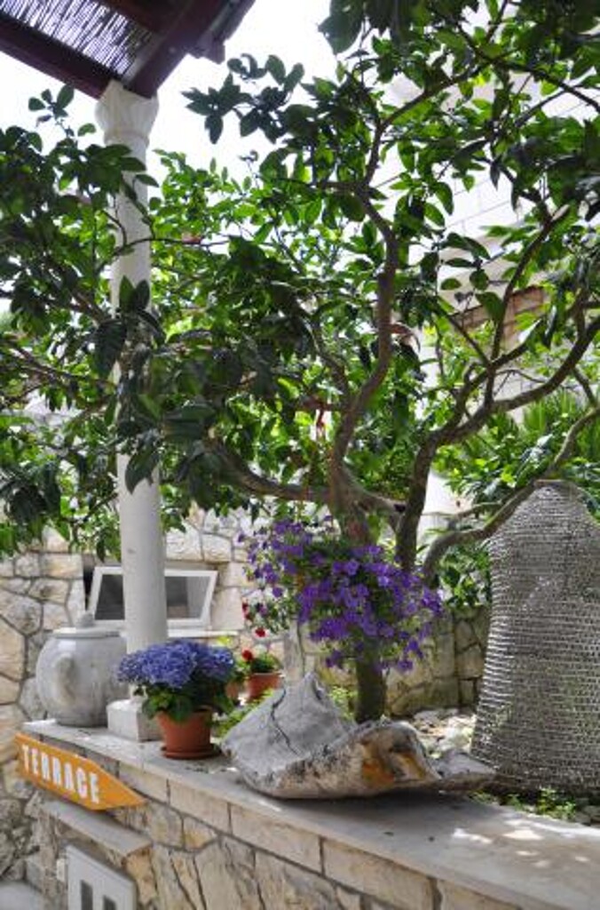 Image 3810946 - 4