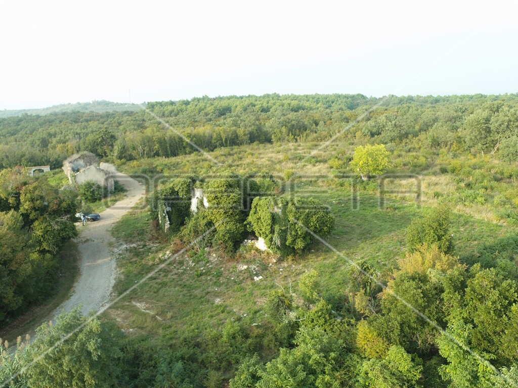 Image 15