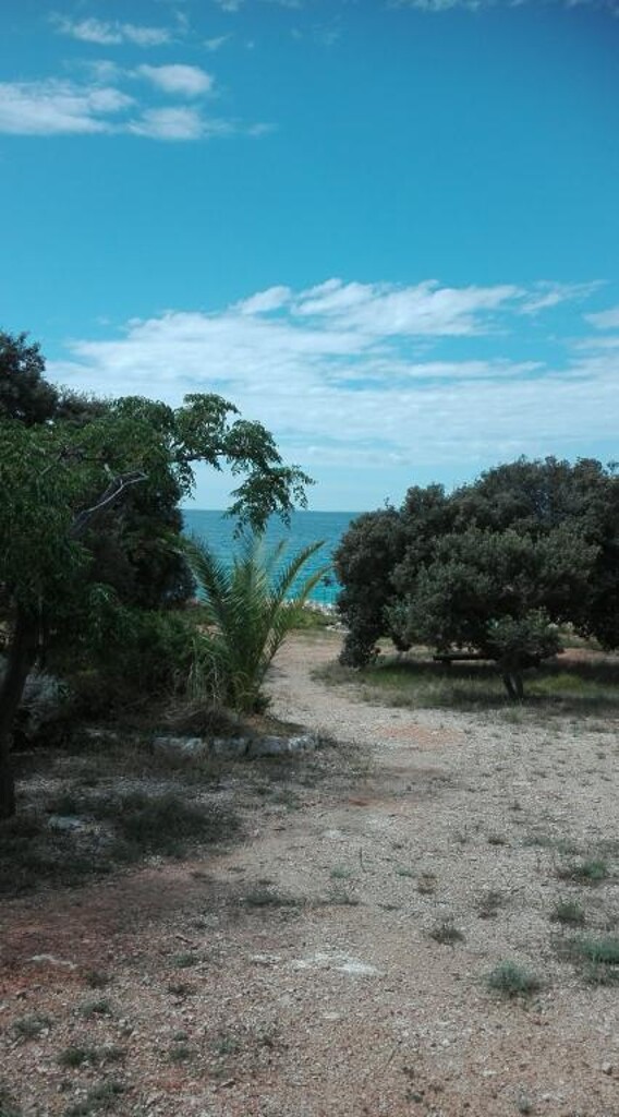 Image 13