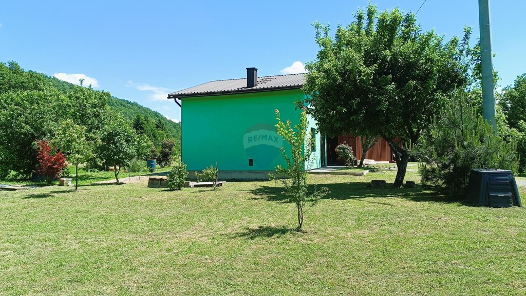 Image 8