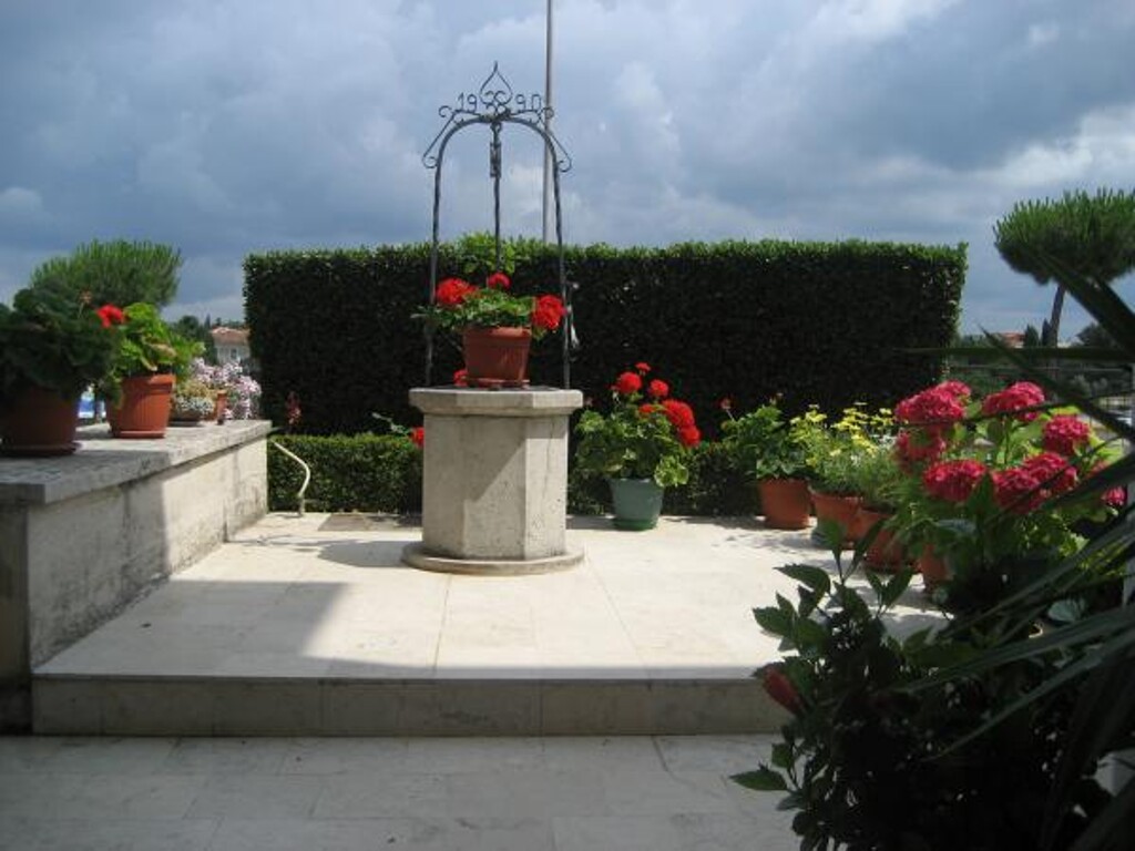 Image 3811230 - 7