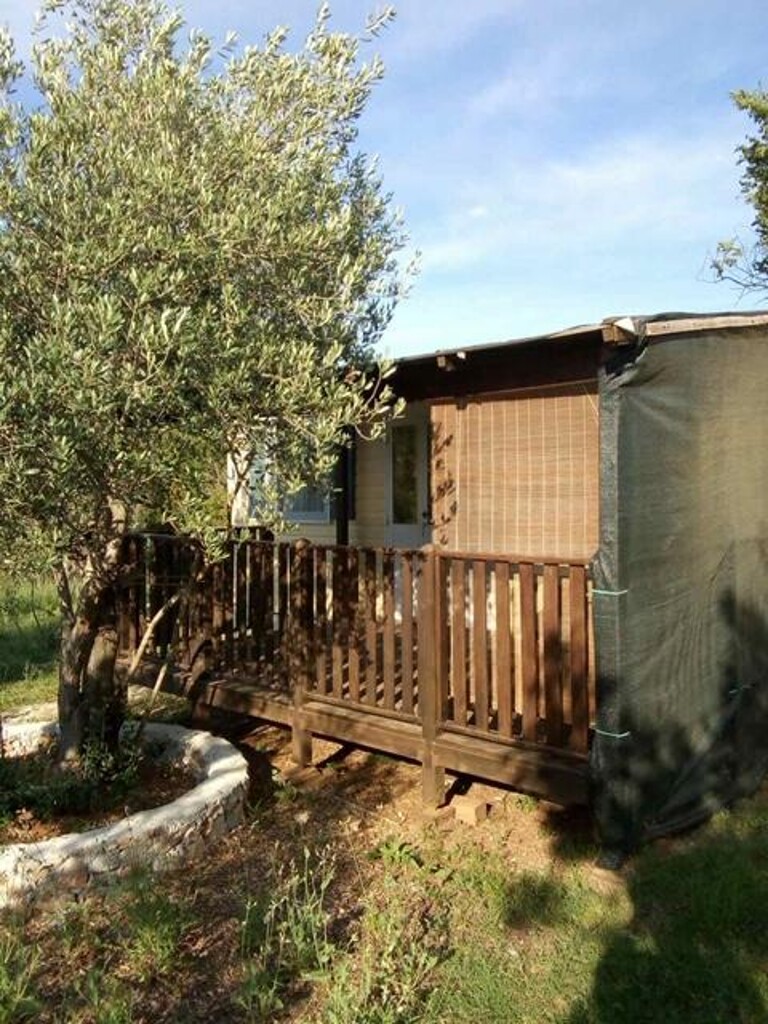Image 3823673 - 6