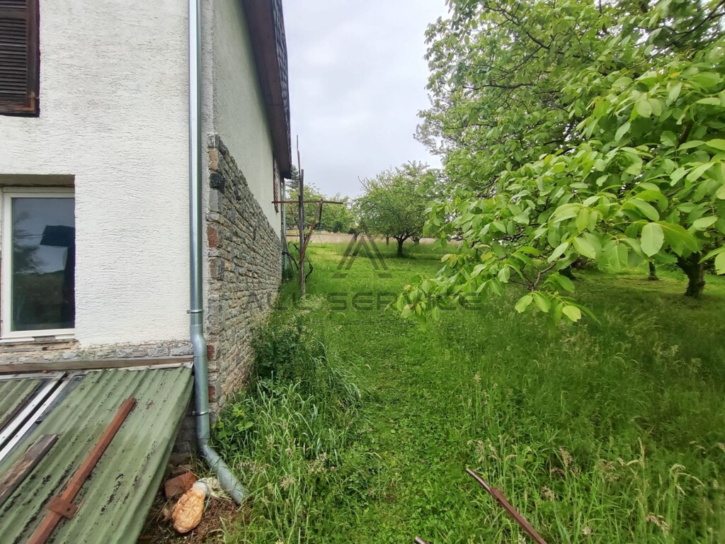 Image 17