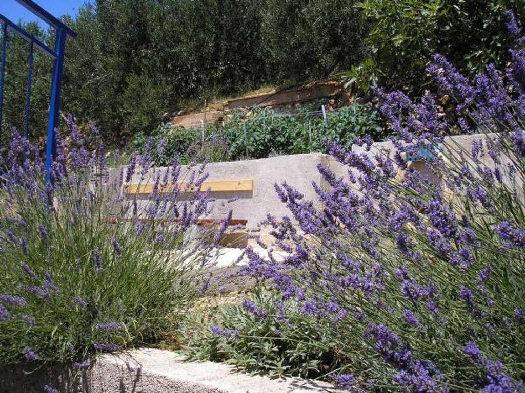 Image 3811833 - 25