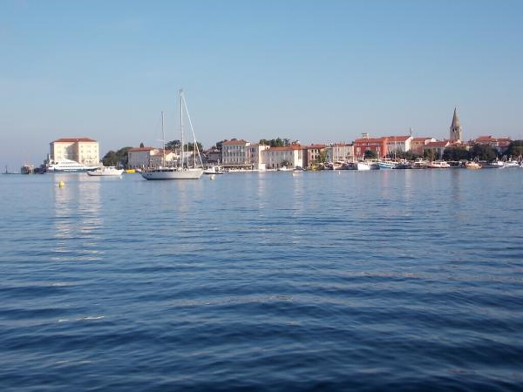 Image 3838948 - 9