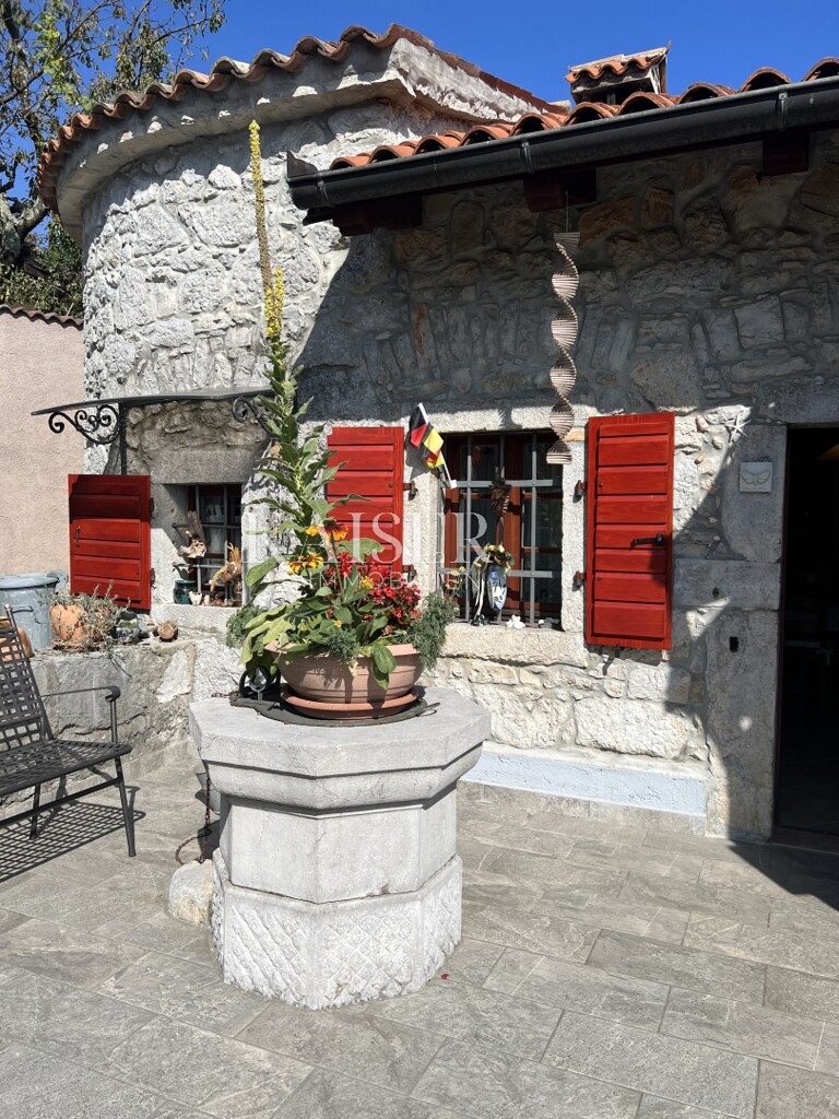 Image 6