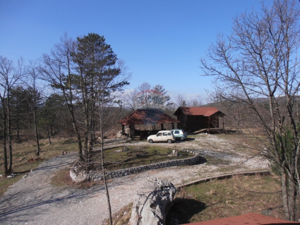 Image 5411078 - 11