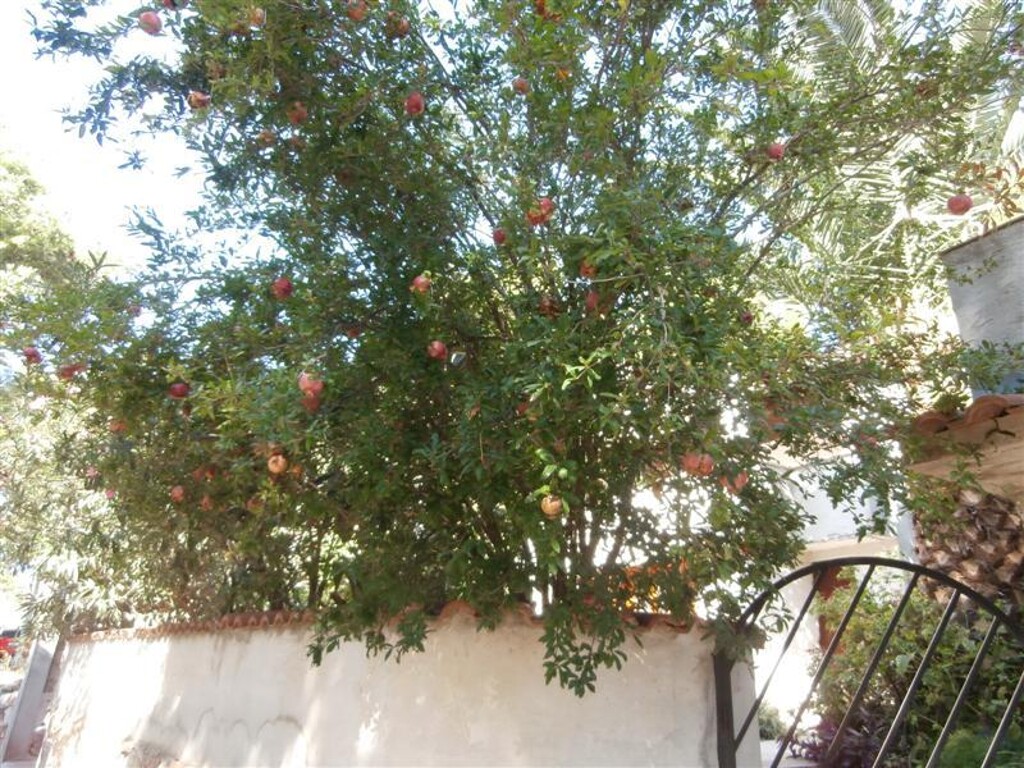 Image 3813828 - 15