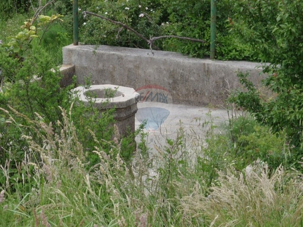 Image 5411112 - 6