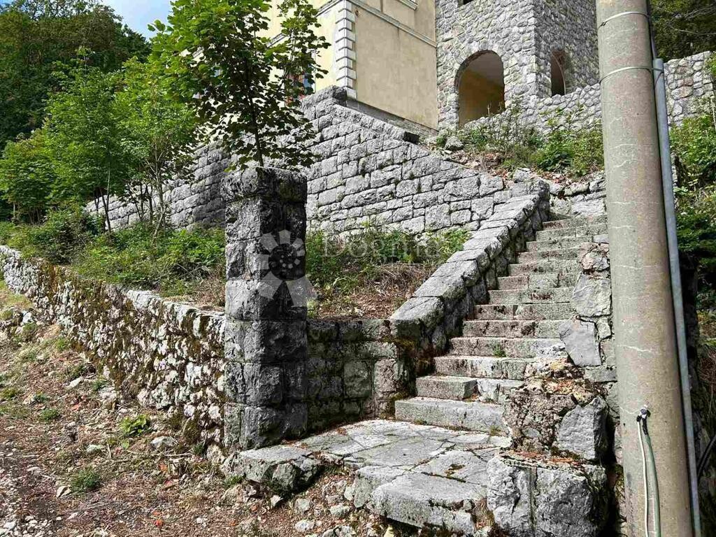 Image 16