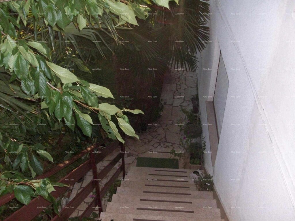 Image 27