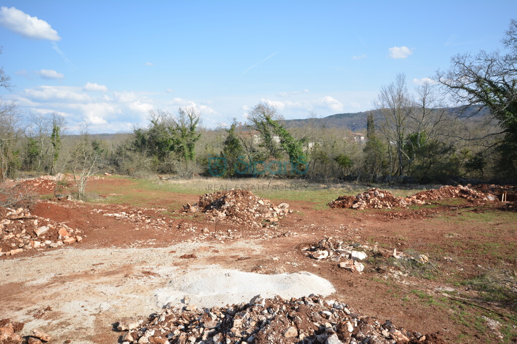 Image 12