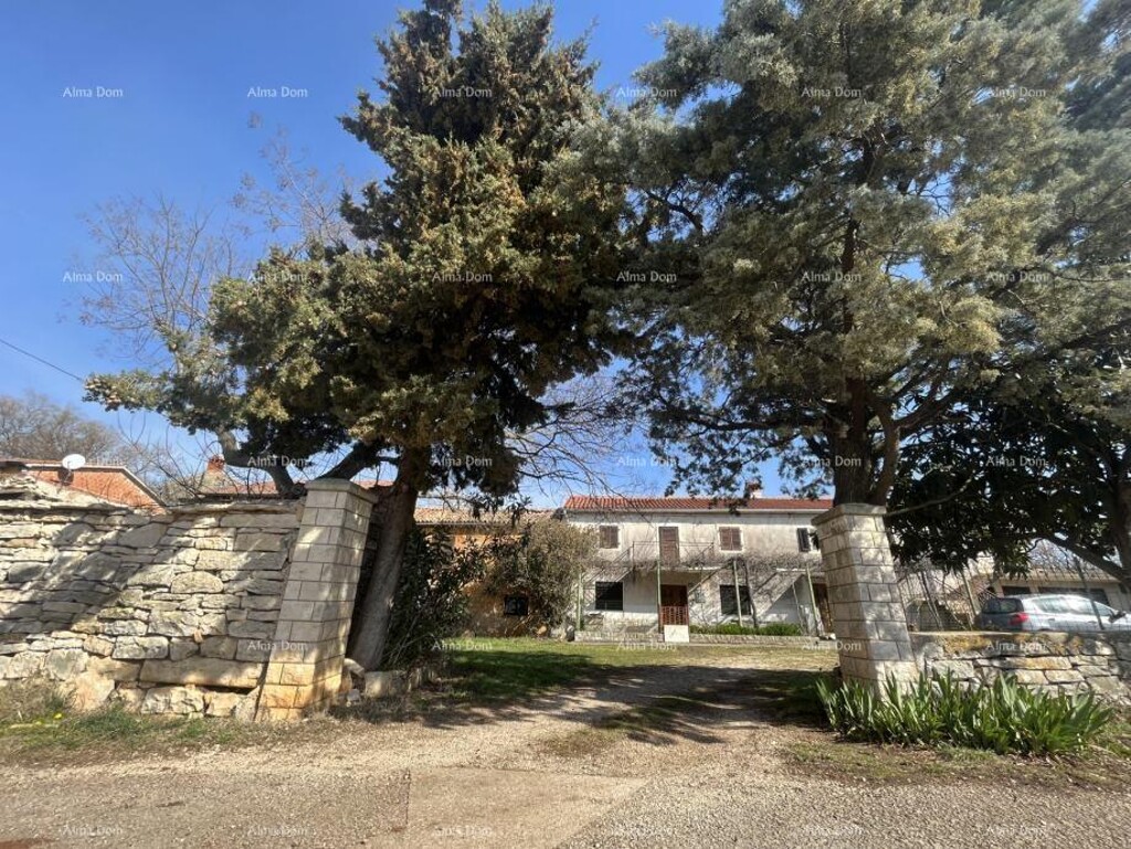 Image 19