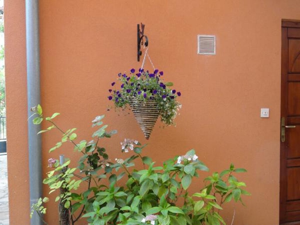 Image 3812423 - 7