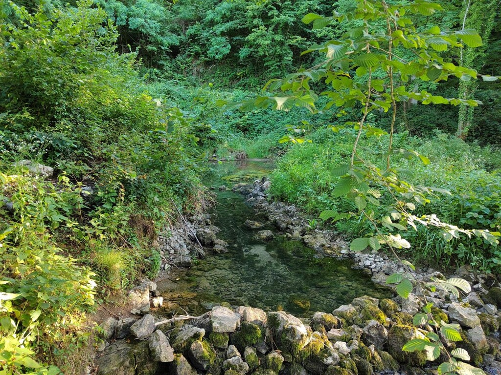 Image 18