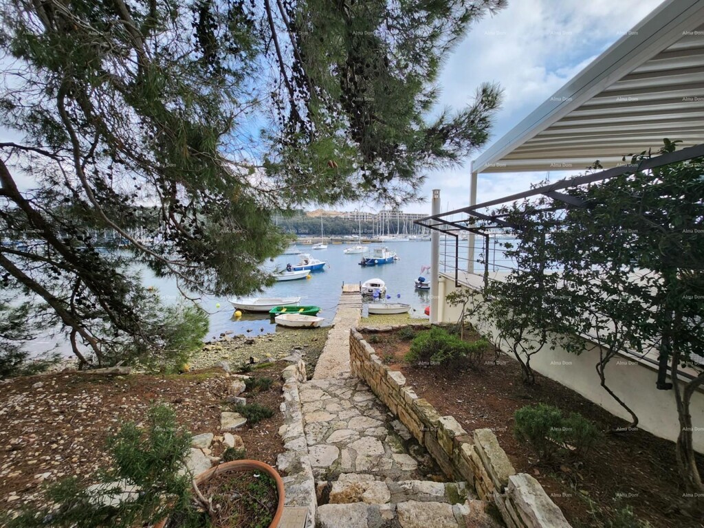 Image 6244782 - 1