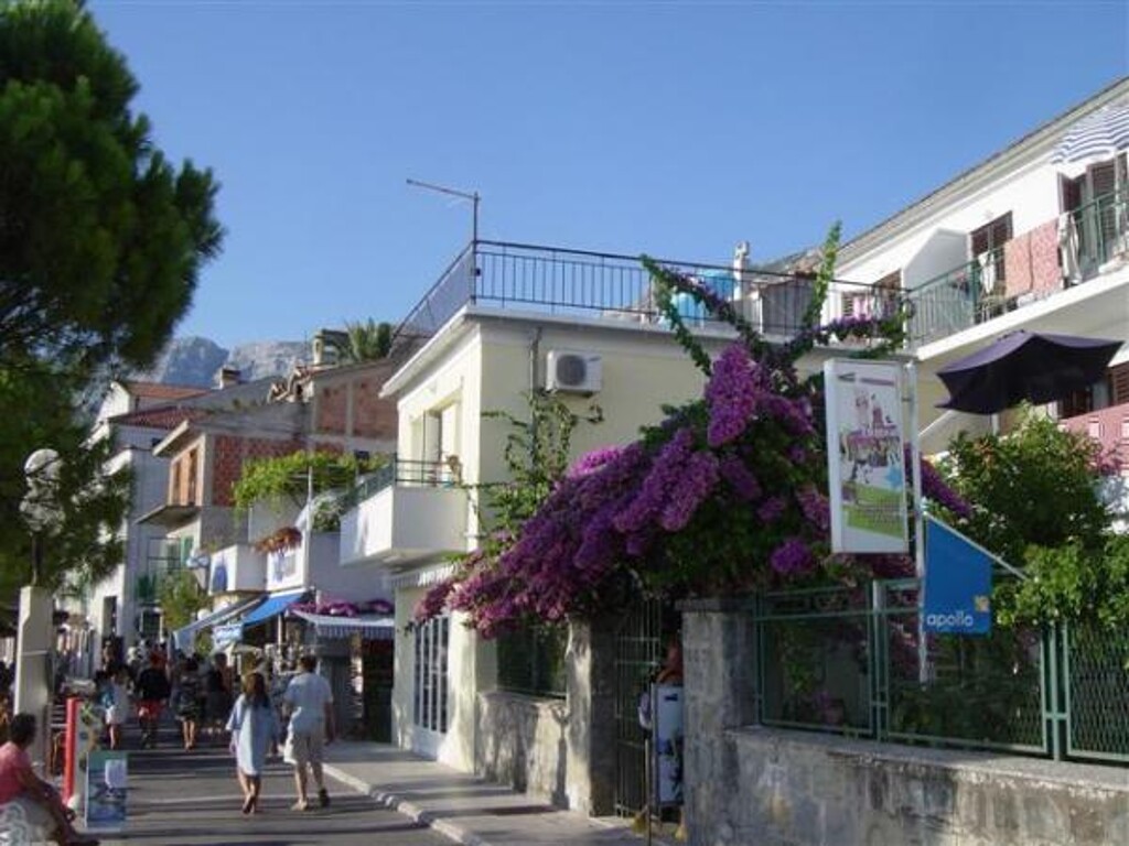 Image 3811723 - 3
